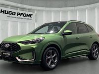 Gebraucht Ford Kuga ST-Line X 150 PS (110 kW) 2024 Grün SUV
