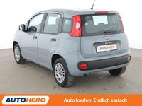 Gebraucht Fiat Panda Easy 69 PS (50 kW) 2019 Grau Kleinwagen