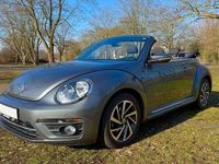 Gebraucht VW Beetle Sound 105 PS (77 kW) 2017 Grau Kleinwagen