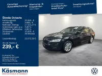 Usata Skoda Octavia Ambition 150 CV (110 kW) 2022 Nero Station wagon