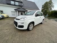 gebraucht Fiat Panda Pop / TÜV / Niedrige km/h