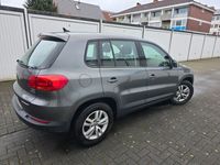 gebraucht VW Tiguan Trend & Fun BMT 1.4 TSI Start/Stop NAVI