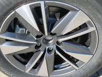 Neu Skoda Karoq Drive 150 PS (110 kW) 2025 Weiß (moonweiss perleffekt) SUV