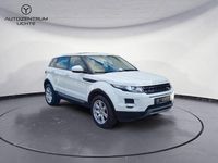 Gebraucht Land Rover Range Rover evoque Pure 150 PS (110 kW) 2014 Weiß SUV