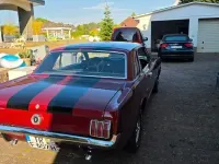Gebraucht Ford Mustang 204 PS (150 kW) 1965 Rot