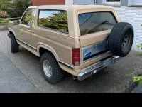 Gebraucht Ford Bronco 209 PS (153 kW) 1984 Beige SUV
