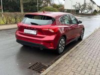 Usata Ford Focus 125 CV (91 kW) 2019 Rosso Utilitaria