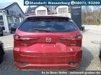 Neu Mazda 2 254 PS (186 kW) 2026 Kleinwagen