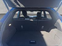 Gebraucht Ford Puma ST-Line X 155 PS (114 kW) 2024 Blau SUV