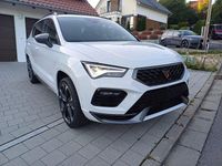 Neu Cupra Ateca Basis 150 PS (110 kW) 2025 Weiß SUV