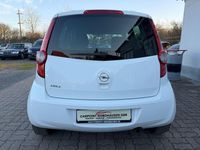 Gebraucht Opel Agila Edition 94 PS (69 kW) 2013 Weiß Kleinwagen