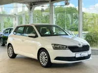 Gebraucht Skoda Fabia Easy 65 PS (47 kW) 2021 Blau Kleinwagen