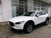 Gebraucht Mazda CX-30 Selection 122 PS (89 kW) 2023 Arctic white SUV