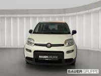 Gebraucht Fiat Panda 69 PS (50 kW) 2023 Weiss) (weiss Kleinwagen