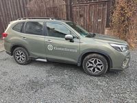 Gebraucht Subaru Forester Trend 150 PS (110 kW) 2020 Grün SUV