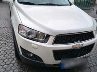 Gebraucht Chevrolet Captiva LT 163 PS (119 kW) 2012 Weiß SUV