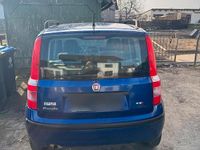 Gebraucht Fiat Panda 60 PS (44 kW) 2009 Blau Kleinwagen
