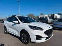 Gebraucht Ford Kuga ST-Line X 152 PS (111 kW) 2020 Weiß SUV
