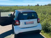 Gebraucht Smart ForTwo Coupé 71 PS (52 kW) 2018 Weiß Coupé
