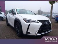 Gebraucht Lexus UX 250h Launch Edition 184 PS (135 kW) 2019 Weiss SUV