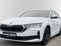 Gebraucht Skoda Octavia Selection 150 PS (110 kW) 2024 Moonweiss metallic Kombi