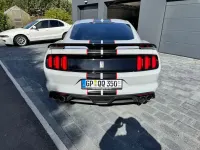 Gebraucht Ford Shelby Fastback 533 PS (392 kW) 2016 Grau Coupé