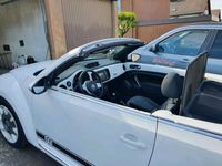 gebraucht VW Beetle cabrio 5c