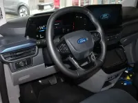 Gebraucht Ford Tourneo Active 232 PS (170 kW) 2026 Grau Van / Kleinbus