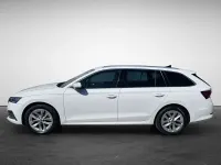 Gebraucht Skoda Octavia Style 150 PS (110 kW) 2023 Weiß (candyweiss) Kombi