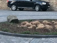 Gebraucht Volvo XC90 185 PS (136 kW) 2008 Blau SUV