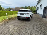 Gebraucht Land Rover Range Rover evoque Dynamic 190 PS (139 kW) 2014 Weiß SUV