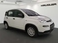 Occasion Fiat Panda 70 ch (51 kW) 2024 Blanc Berline
