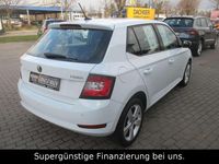 Gebraucht Skoda Fabia Cool Plus 75 PS (55 kW) 2019 Weiß Kleinwagen