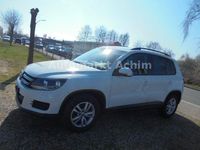 Gebraucht VW Tiguan 110 PS (80 kW) 2014 Weiß SUV