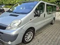 Gebraucht Opel Vivaro 114 PS (83 kW) 2009 Grau Van / Kleinbus