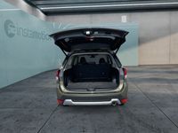 Gebraucht Subaru Forester 150 PS (110 kW) 2023 Grün SUV