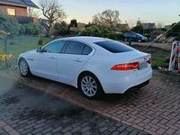 Gebraucht Jaguar XE Prestige 180 PS (132 kW) 2015 Weiß Limousine