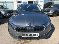 Neu Skoda Octavia Selection 150 PS (110 kW) 2026 Grau Kombi