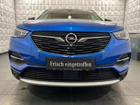 Gebraucht Opel Grandland X Ultimate 131 PS (96 kW) 2021 Blau SUV