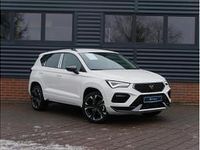 Neu Cupra Ateca 150 PS (110 kW) 2025 Grau SUV