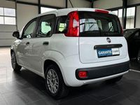 Gebraucht Fiat Panda Easy 69 PS (50 kW) 2017 Weiß Kleinwagen