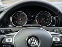 gebraucht VW Golf 1.0 TSI OPF IQ DRIVE ParkAss