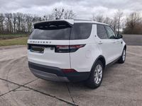 Gebraucht Land Rover Discovery 5 SE 241 PS (177 kW) 2018 Weiß SUV