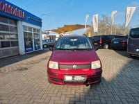 Gebraucht Fiat Panda Active 54 PS (39 kW) 2006 Rot Kleinwagen