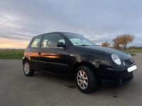 Gebraucht VW Lupo GT 75 PS (55 kW) 2005 Schwarz Kleinwagen