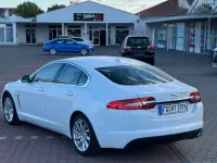 Gebraucht Jaguar XF 200 PS (147 kW) 2014 Weiß Limousine