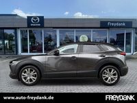 Gebraucht Mazda CX-30 Selection 122 PS (89 kW) 2021 Machine grey SUV