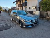 Gebraucht Mercedes E250 Avantgarde 204 PS (150 kW) 2013 Silber Kombi