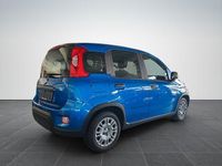 Gebraucht Fiat Panda Cross Cross 69 PS (50 kW) 2025 Italia blau Kleinwagen