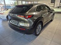 Gebraucht Mazda CX-30 Selection 150 PS (110 kW) 2023 Grau metallic SUV